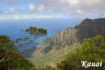 Kauai Rental Cars